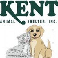 Kent Animal Shelter (@kentanimal) Twitter profile photo