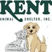 Kent Animal Shelter (@KentAnimal) Twitter profile photo