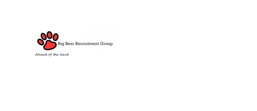 Big Bear Recruitment Group - Above the Herd
