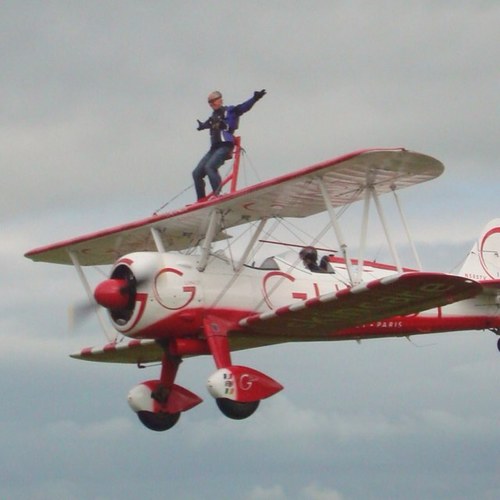 stevefalconry's profile picture. 