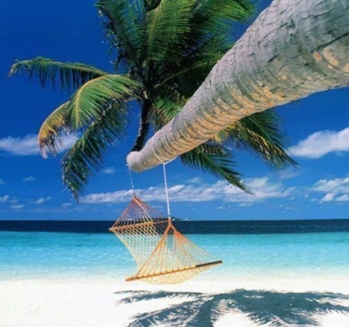 isla_loca's profile picture. Bonne humeur, mystères et légèreté. Si tu as de l'humour, viens l'partager. Une histoire débute ici avec nos insulaires #realFollowBack