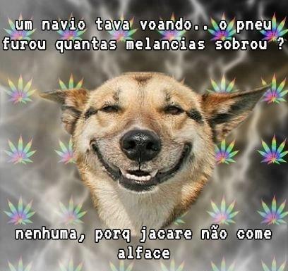 perfil fake em que  mais durou , since of 2011