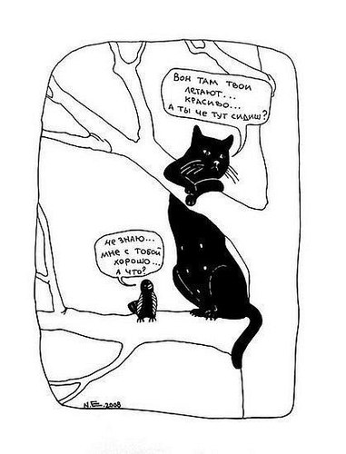 nconfx's profile picture. 