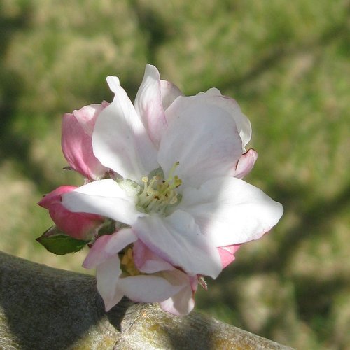 maricam58's profile picture. Twitter is just a place I come to rant, take a break from playing WoW, or RT cute animal stuff. How about you?