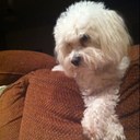 Hope Hunter Lee - @fivebusylees - Twitter