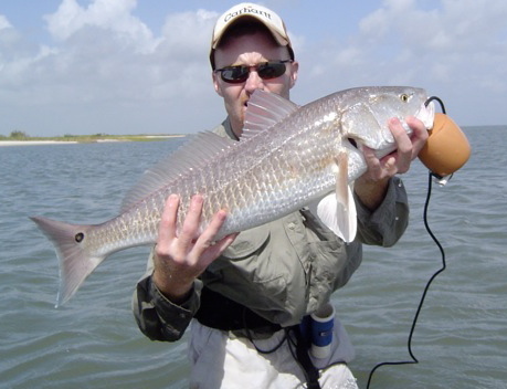 txbayfisherman's profile picture. 