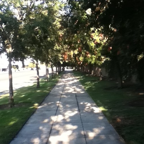 cryburns's profile picture. Junior High English Teacher