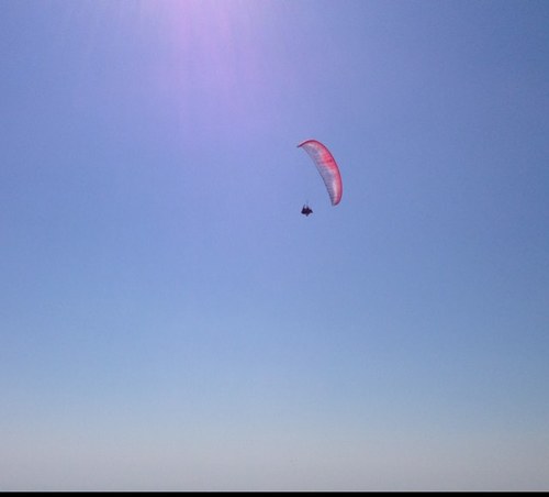 ziopapone's profile picture. Padova