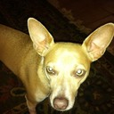 JustDave - @DavidBordelon1 - Twitter