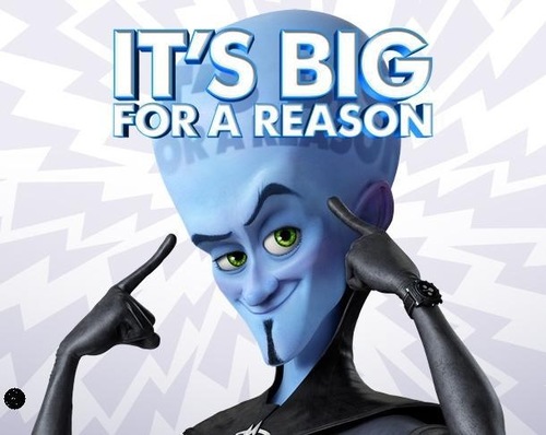 copternut151's profile picture. Aviation Maintenance Officer