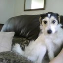 Ted Hammond - @woofwoofted - Twitter