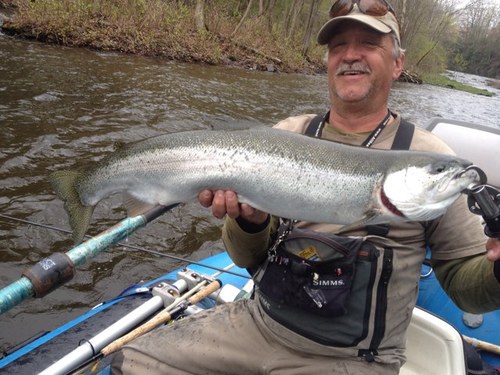 captstevek's profile picture. 