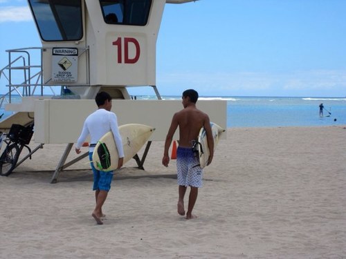 kdkuta's profile picture. kutamatata