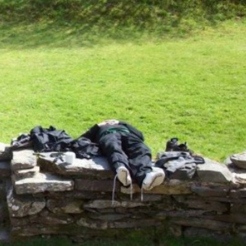 steviejd194's profile picture. 