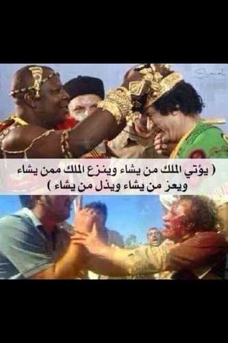 غبي في زمن اذكياء الكويت موطني