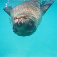 astro_jw (@astro_jw) 's Twitter Profile