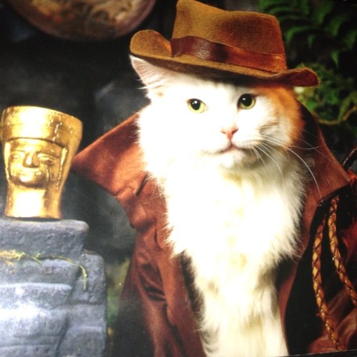 fxdum's profile picture. Teacher by day. Habs, Bucs , Knicks and IMFC fan. Sailing ⛵️ enthusiast and proud owner of S/V Marie-Laure 24” Hinterhoeller Shark .