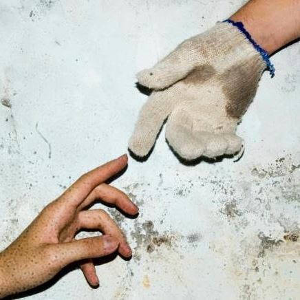 mariachimike's profile picture. String abuser