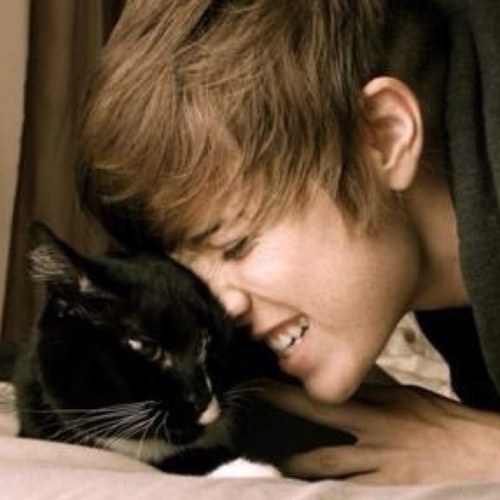 Im @Suckstinx kitty kat :3 and my pandas name is Niall! i still love to be with other people :3 [owned on 9/2/12]
