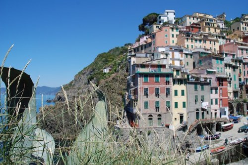 staggridge's profile picture. 