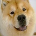 Teddy Chang - @ChowChowChang - Twitter