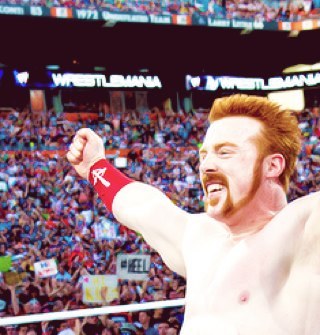 shemusFan's profile picture. SHEAUMS FAN