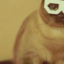 Pete Gibson - @SaveTheRedPanda - Twitter