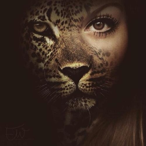 KFedotova's profile picture. 