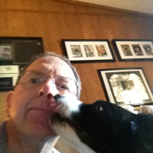 StarckMad's profile picture. 