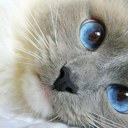 Mandy Lines 🌻 - @mandilines - Twitter