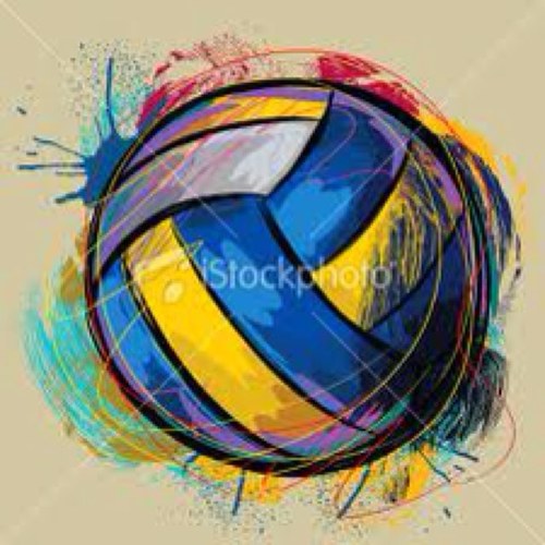 Volleyball is our lives. We all know it; I tweet it.