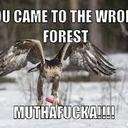 colton andersen - @colorblindcolt - Twitter