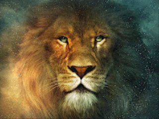 ov_leon's profile picture. 