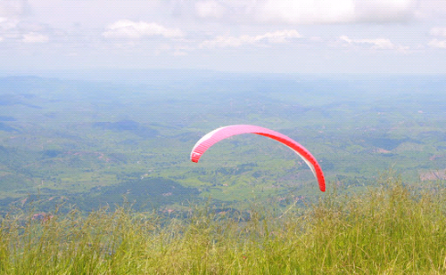 anfilofiobastos's profile picture. 