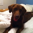 Kelly Files - @kellsdsu - Twitter