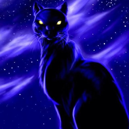 StuckeySam's profile picture. 