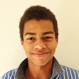 Developer / Musician