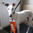 Mike Bouchard - @BouchardMike - Twitter