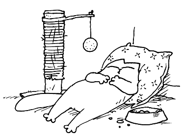#cats #cat #kitten #pets
The ideal of calm exists in a sitting cat. - Jules Reynard