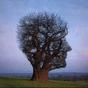 Manuel Ballesteros - @ManuelBalles63 - Twitter