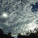 Ju Park - @jujubee218 - Twitter