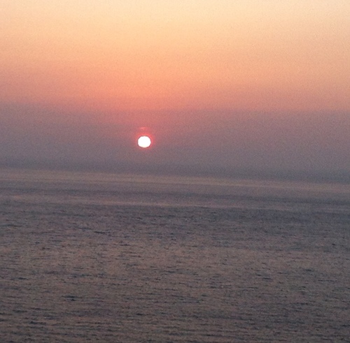 ciaotodo's profile picture. 평범한 시민. 책만드는 노동자.식물집사