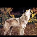 jonathan batres - @batres_jonathan - Twitter