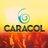 FM CARACOL 95.5
