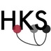 DigitalHKS (@digital_hks) Twitter profile photo