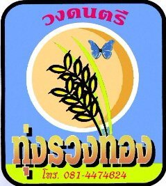 kst148's profile picture. รับแสดงงานบันเทิงทุกชนิด วงเล่นสด วงอิเล็คโทน วงแห่งานมงคลต่างๆ และเครื่องไฟขยายเสียงทุกชนิด รับออกแบบติดตั้งระบบเสียงทุกชนิด
