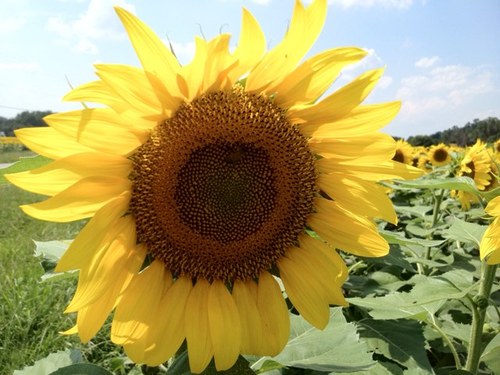 jennjenn1959's profile picture. 