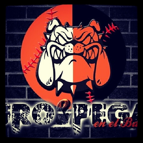 elperro2503's profile picture. Analista Deportivo,UPR Security,DuroyPegao