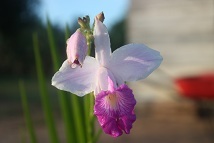 mayrac78's profile picture. Madre de 3 tesoros, Esposa, Trabajadora, Ingeniero de Minas, Amante de lo criollo y artesanal, de las bellezas de mi país y de la hermandad de los venezolanos.