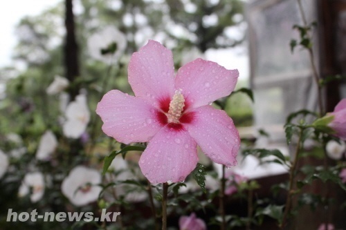 보여주려 살지말고 보여지게 살아보자